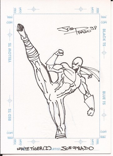 Mcc98 sketchagraph white tiger - white,